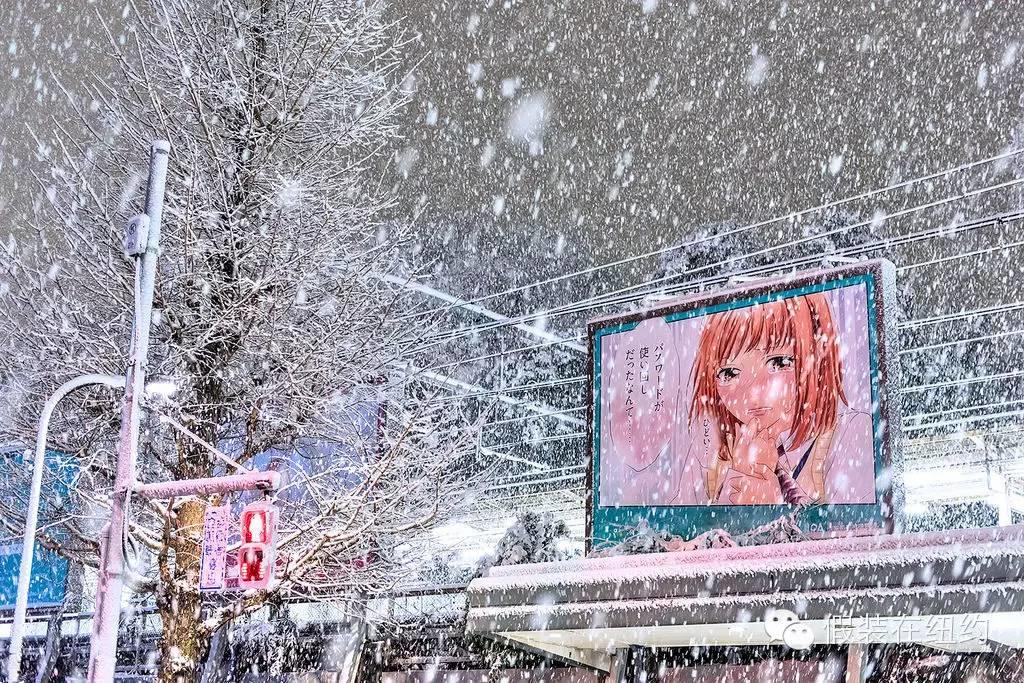 听说今天东京下了第一场雪，这张照片把我吓到了