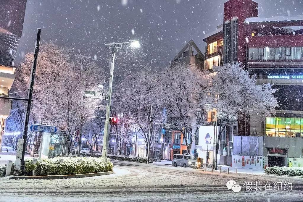 听说今天东京下了第一场雪，这张照片把我吓到了