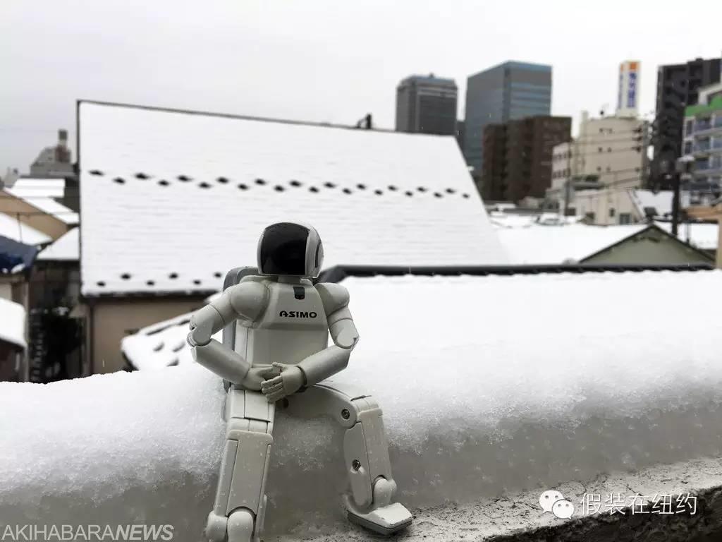 听说今天东京下了第一场雪，这张照片把我吓到了