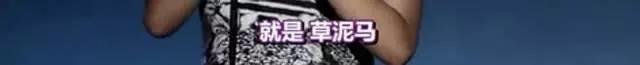 可能是现在全美国最黄暴的女司机
