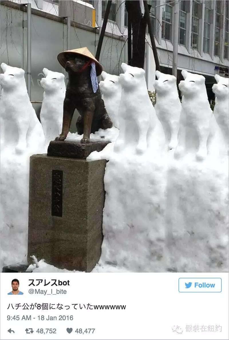 听说今天东京下了第一场雪，这张照片把我吓到了
